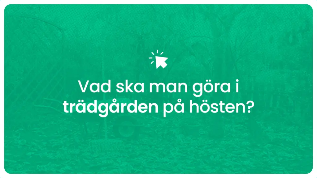 Vad ska man gora i tradgarden pa hosten