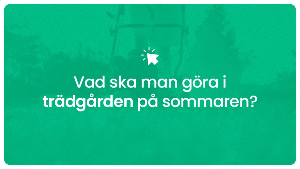 Vad ska man gora i tradgarden pa sommaren