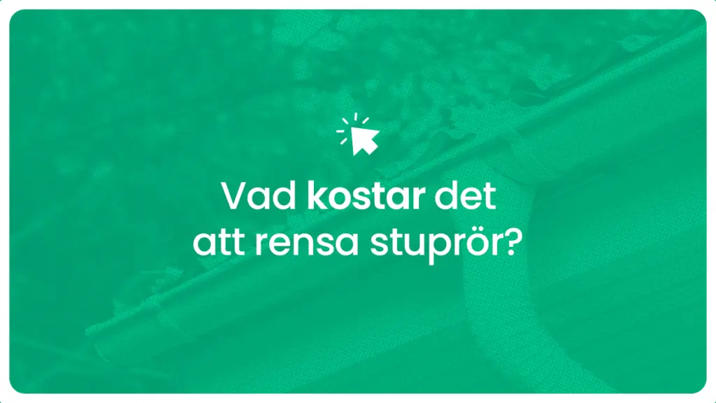 Vad kostar det att rensa stupror