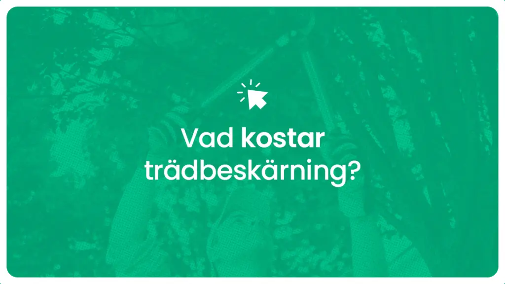 Vad kostar tradbeskarning
