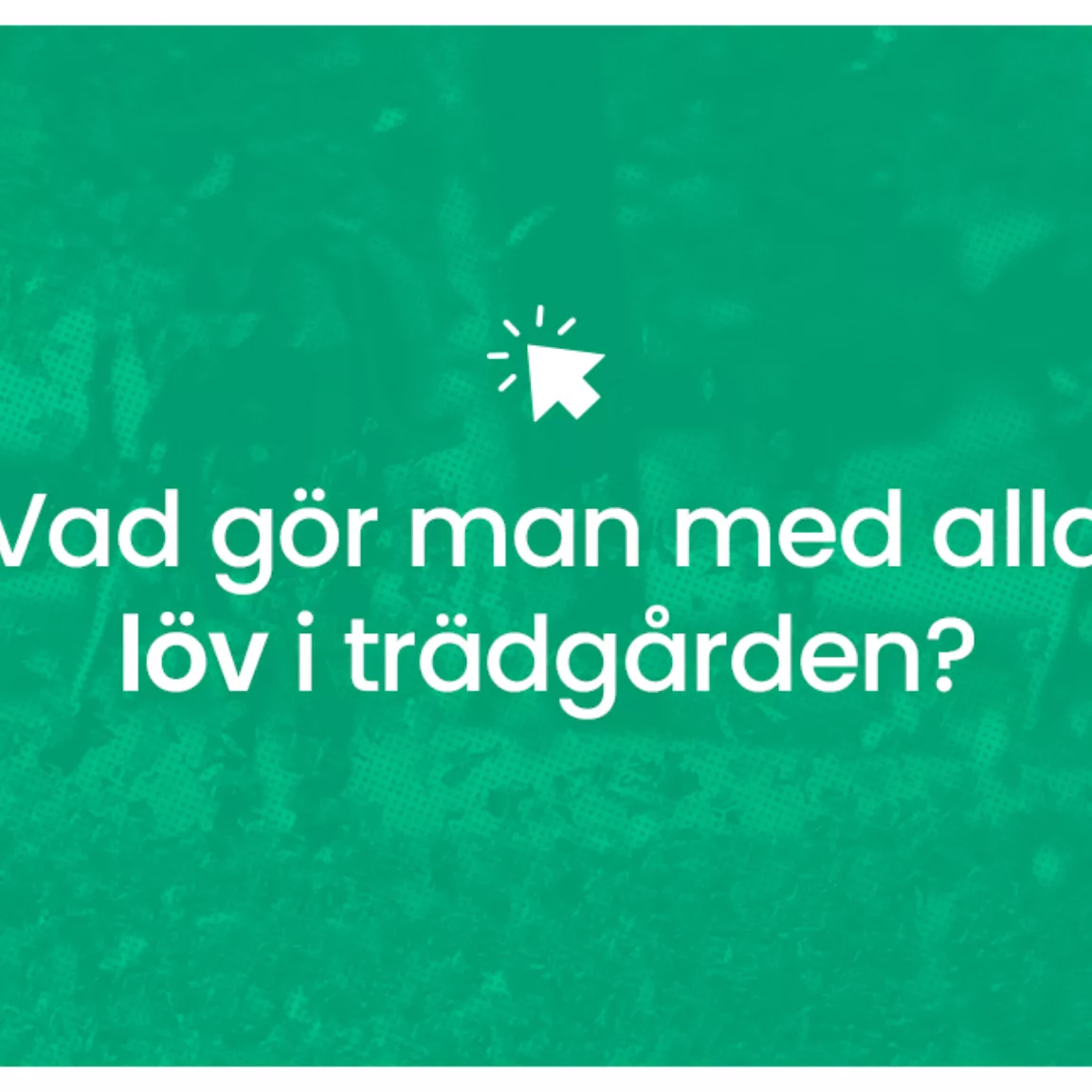 Vad gor man med alla lov i tradgarden