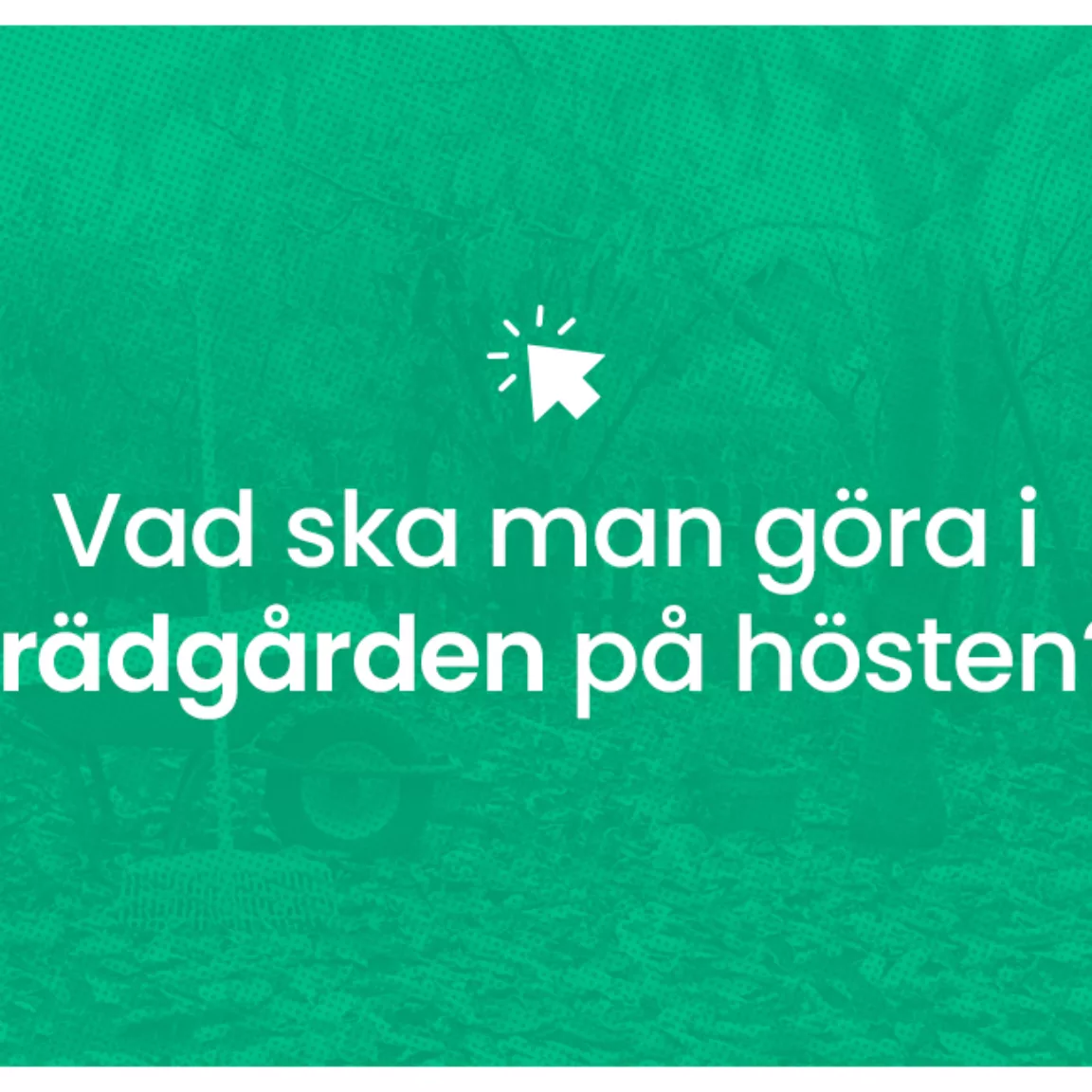 Vad ska man gora i tradgarden pa hosten