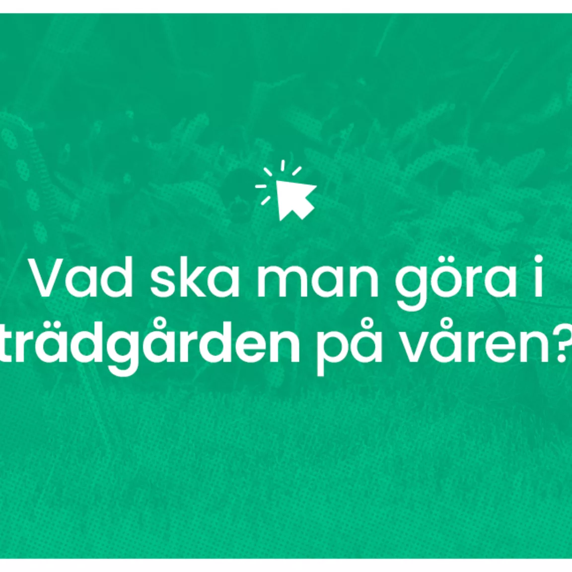 Vad ska man gora i tradgarden pa varen