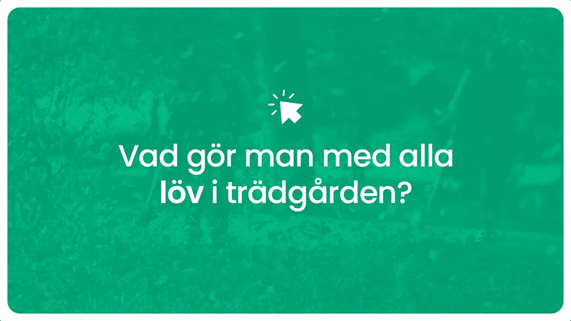 Vad gor man med alla lov i tradgarden