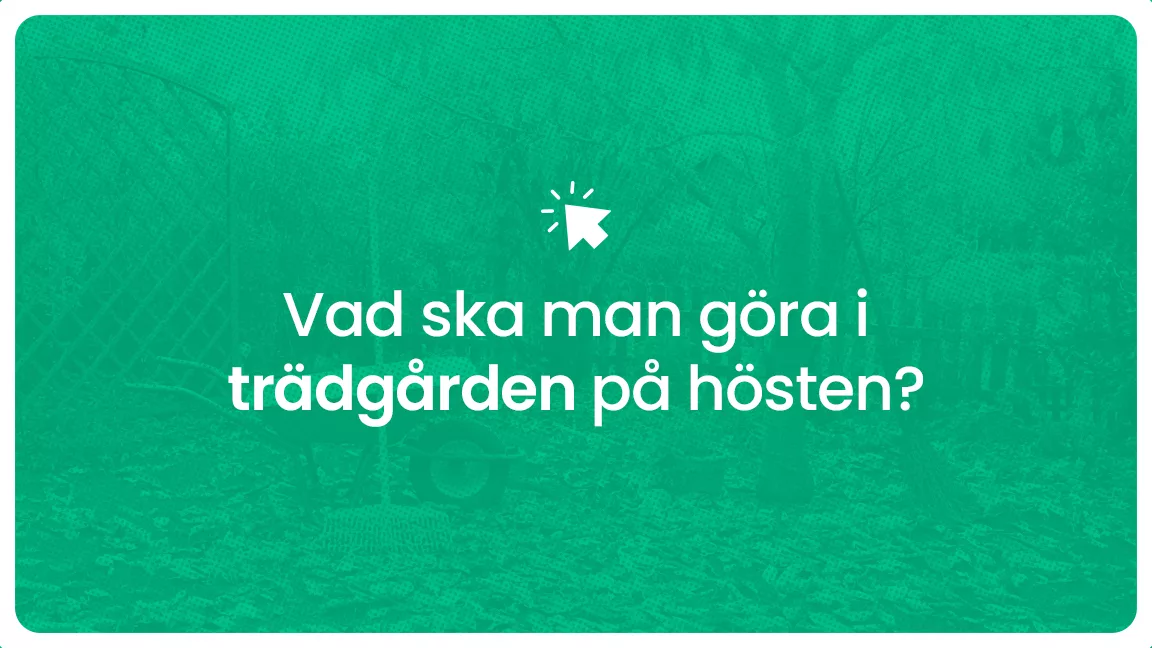 Vad ska man gora i tradgarden pa hosten