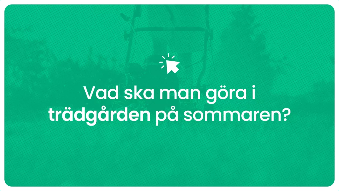 Vad ska man gora i tradgarden pa sommaren