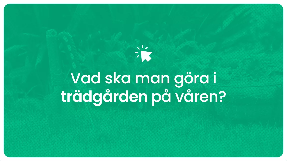 Vad ska man gora i tradgarden pa varen