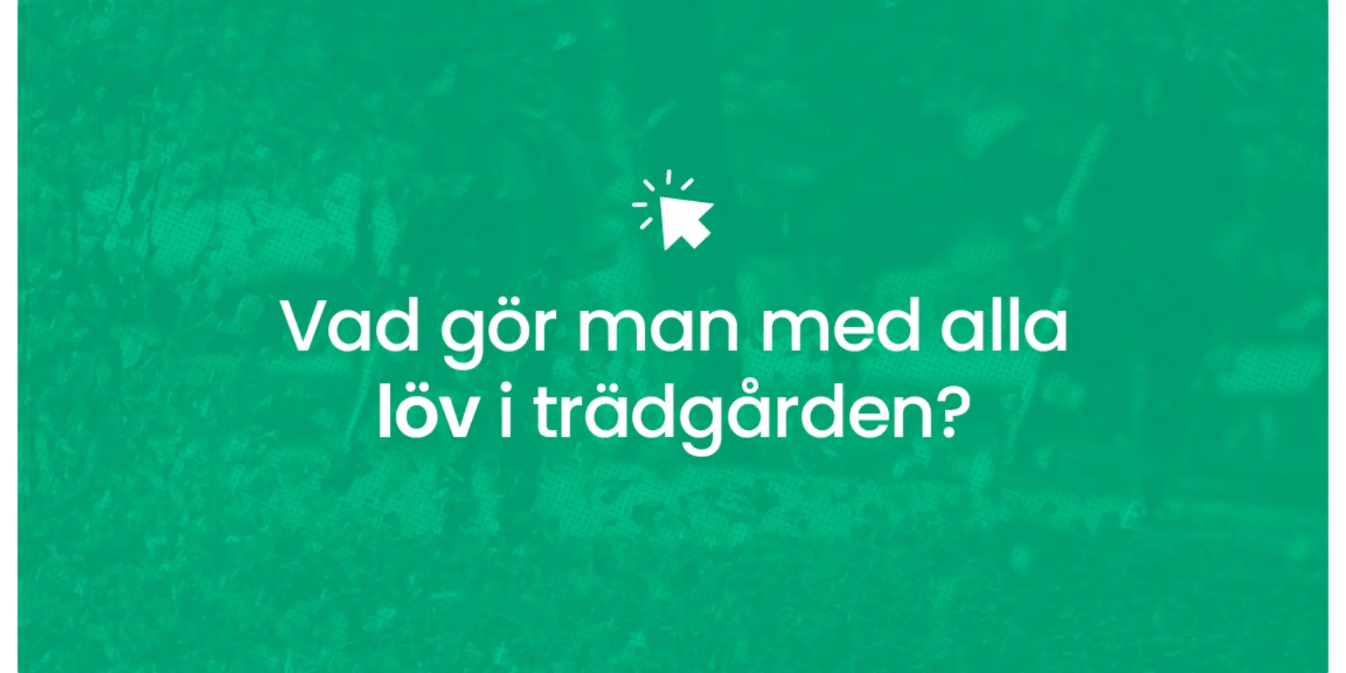 Vad gor man med alla lov i tradgarden