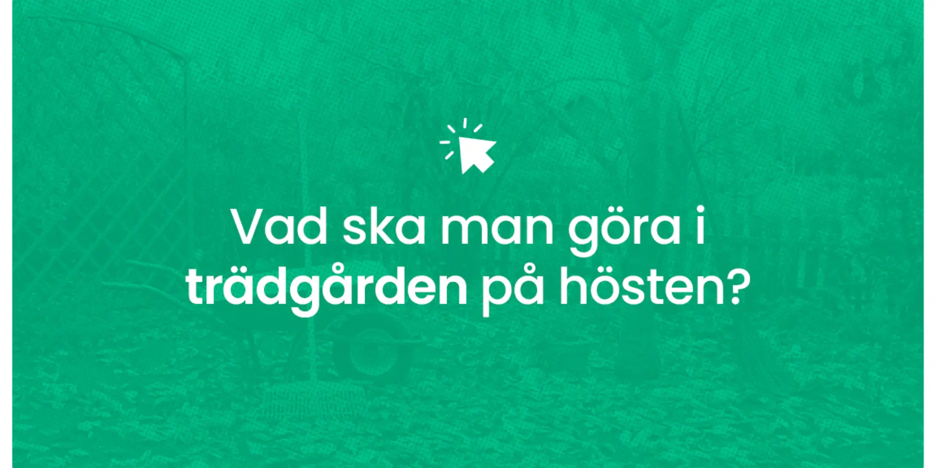 Vad ska man gora i tradgarden pa hosten