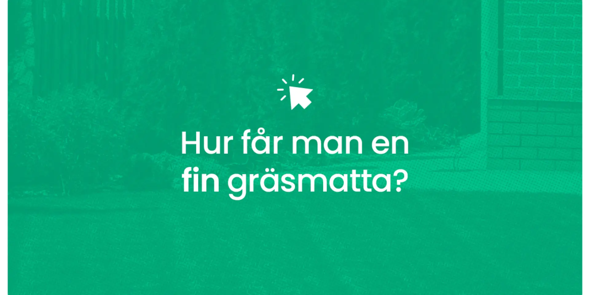 Hur far man en fin grasmatta