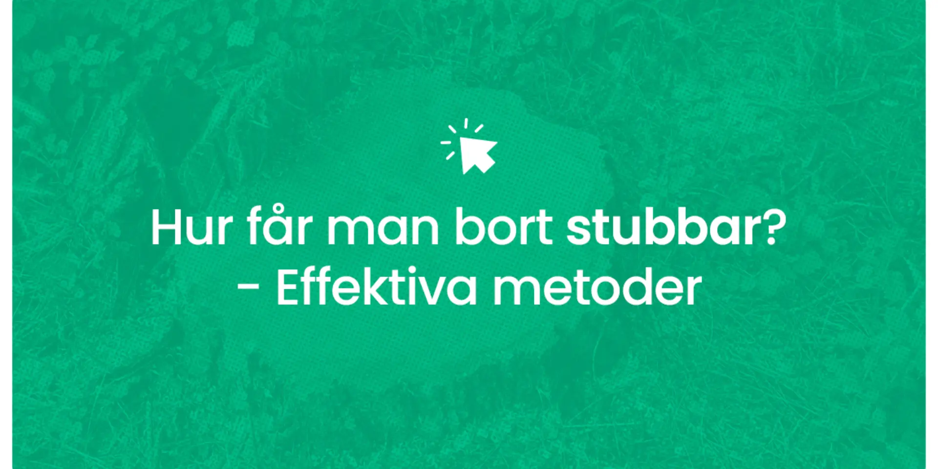 Hur far man bort stubbar