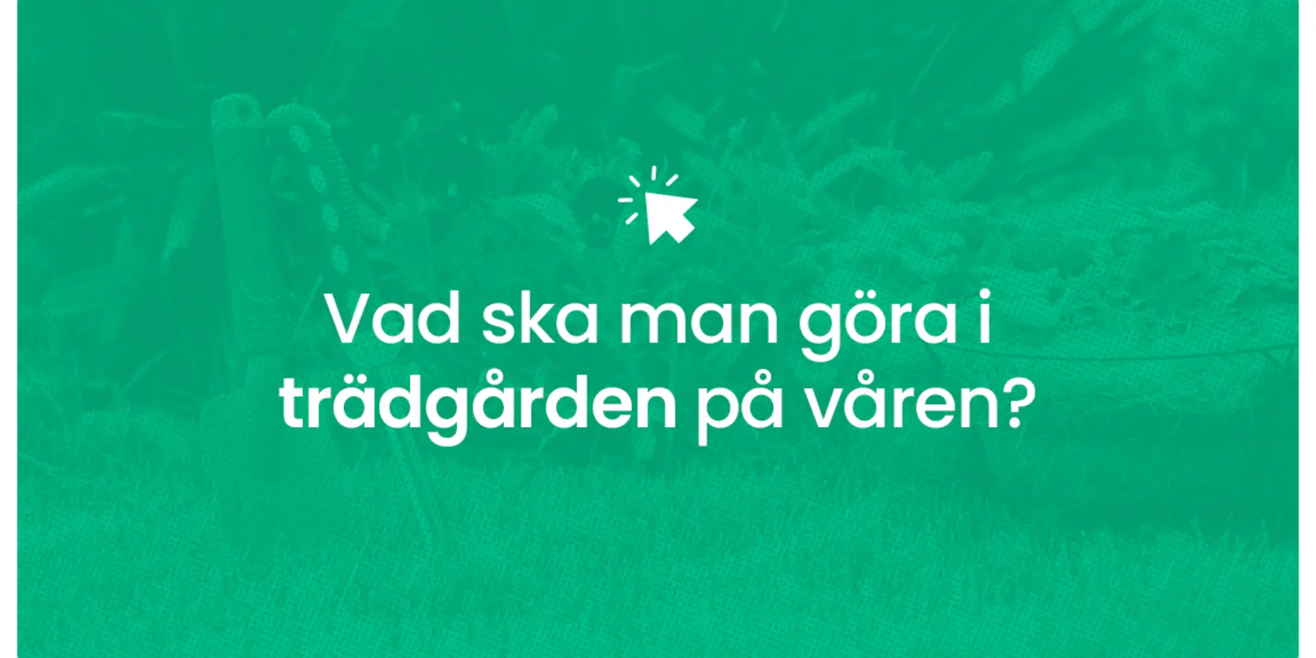 Vad ska man gora i tradgarden pa varen
