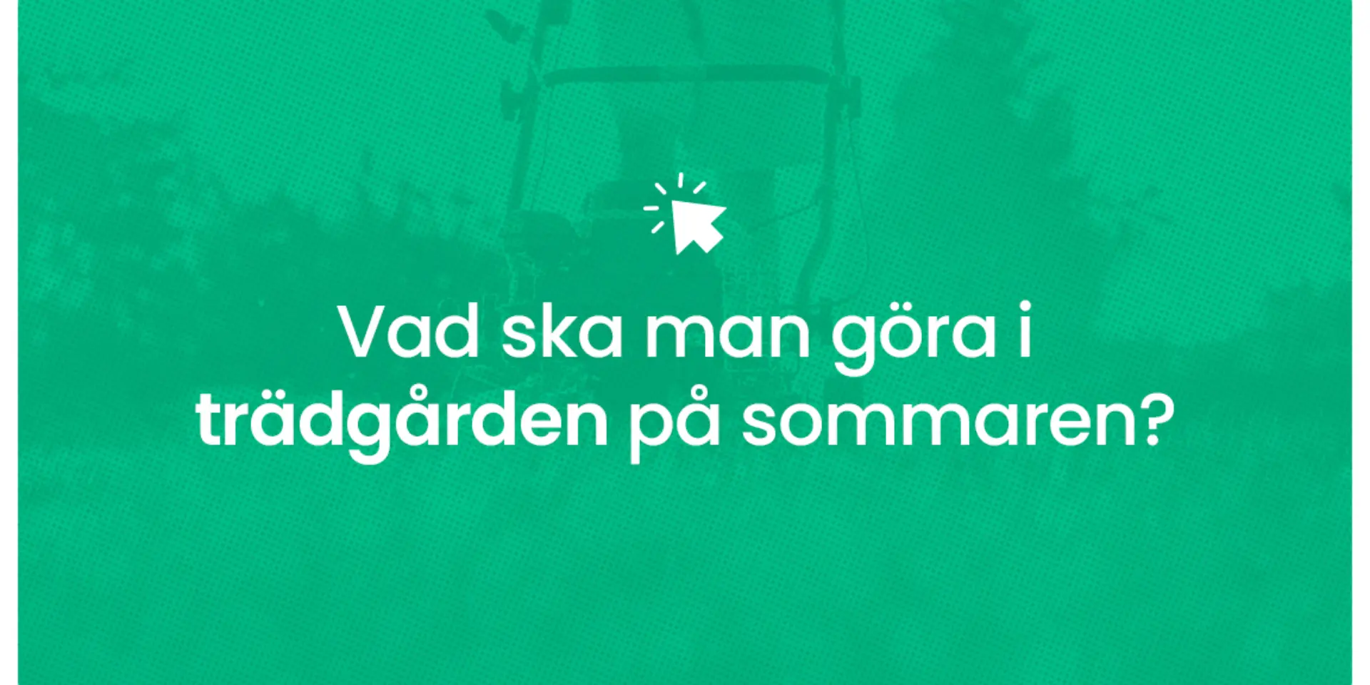 Vad ska man gora i tradgarden pa sommaren