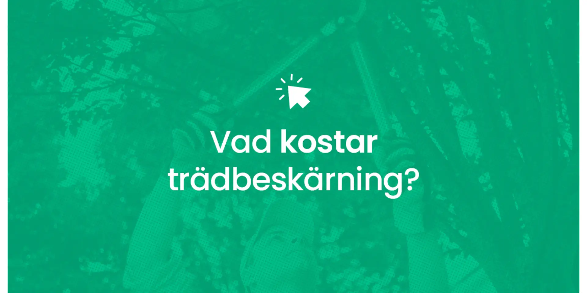 Vad kostar tradbeskarning