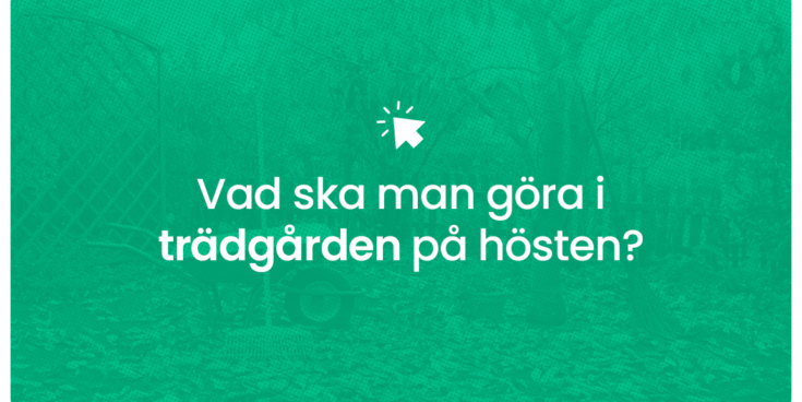 Vad ska man gora i tradgarden pa hosten
