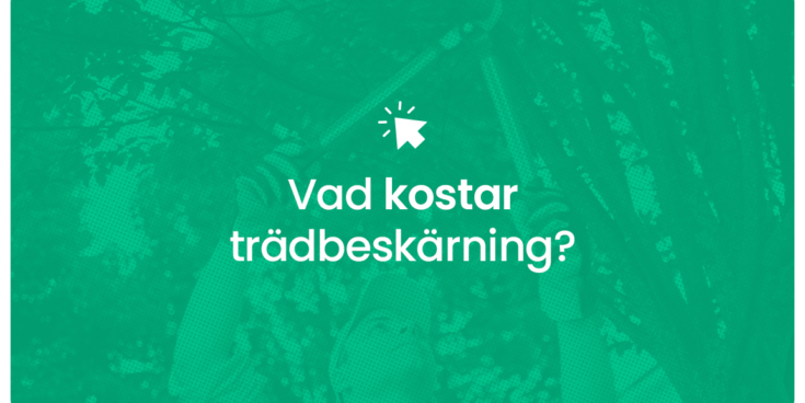 Vad kostar tradbeskarning